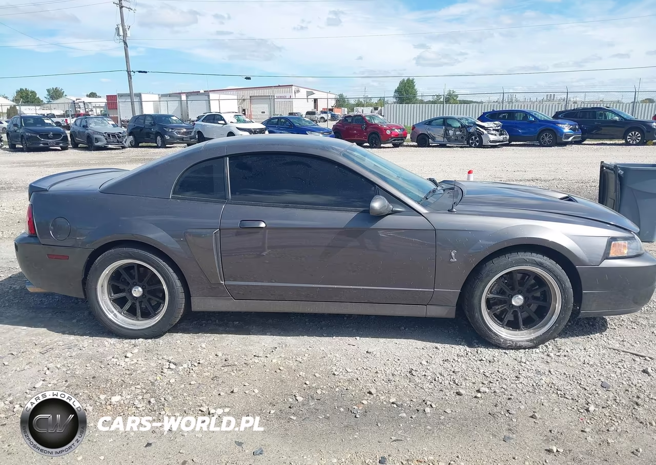 2003 Ford Mustang 10Th Anniversary Package-Cobra VIN:1FAFP48Y53F387899 - 13