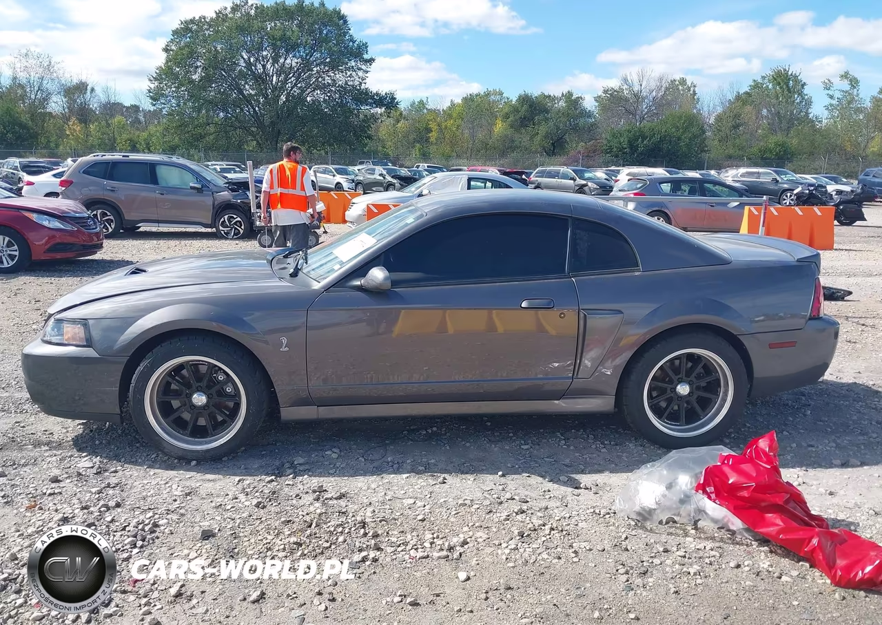 2003 Ford Mustang 10Th Anniversary Package-Cobra VIN:1FAFP48Y53F387899 - 14