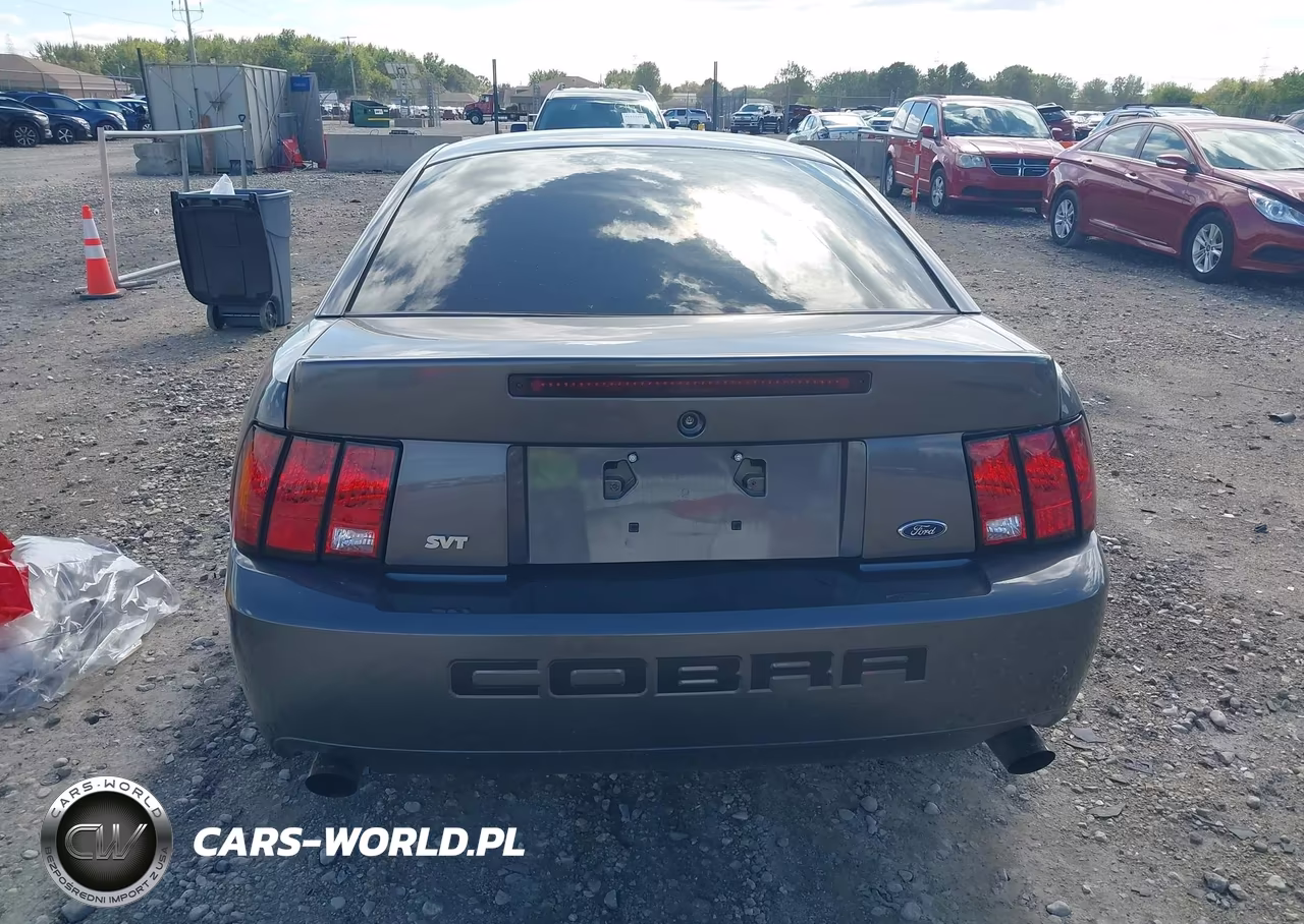 2003 Ford Mustang 10Th Anniversary Package-Cobra VIN:1FAFP48Y53F387899 - 16