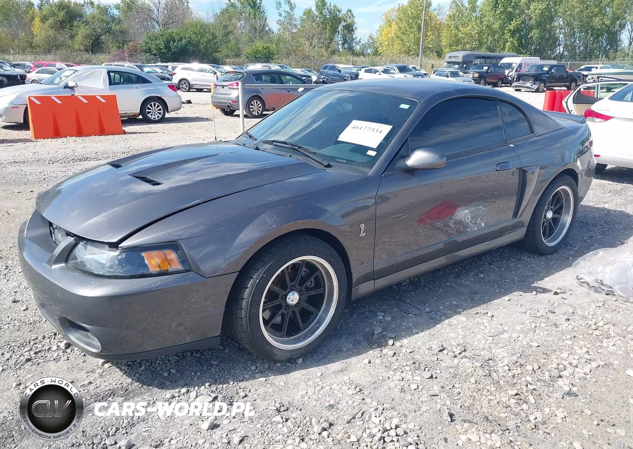 2003 Ford Mustang 10Th Anniversary Package-Cobra VIN:1FAFP48Y53F387899 - 2