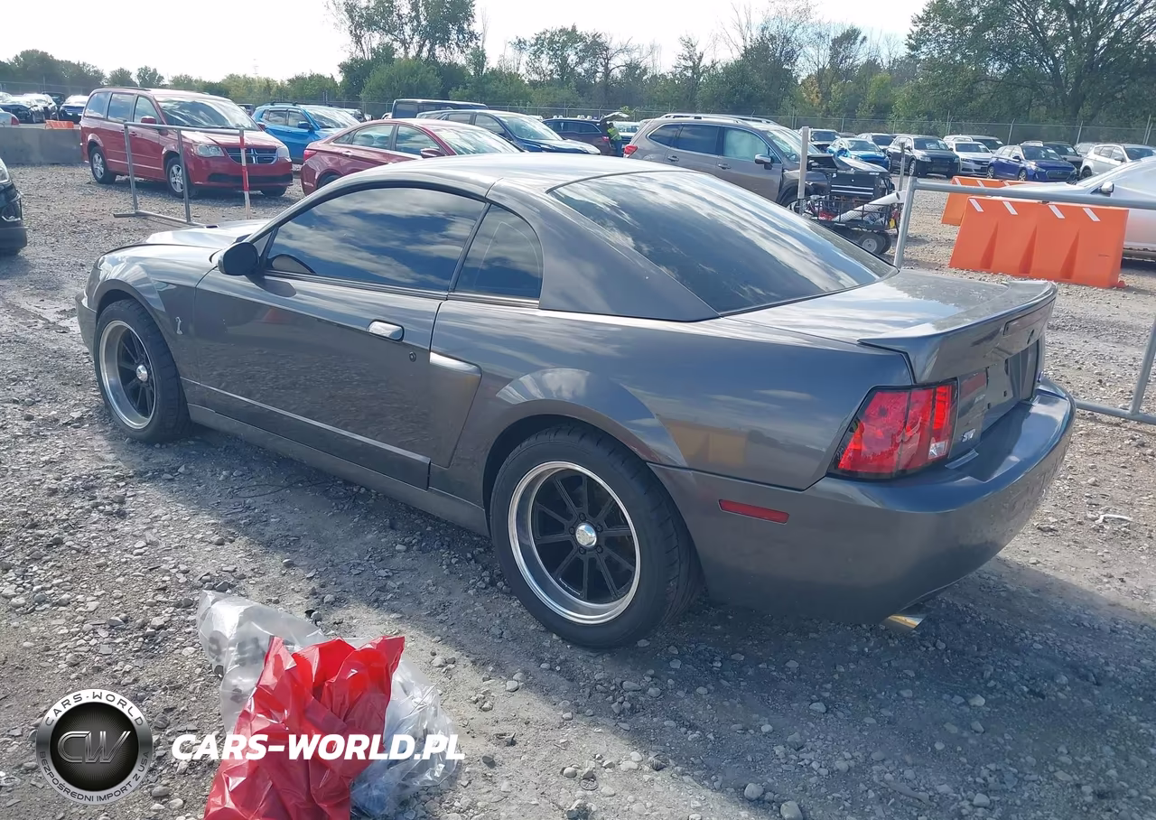 2003 Ford Mustang 10Th Anniversary Package-Cobra VIN:1FAFP48Y53F387899 - 3