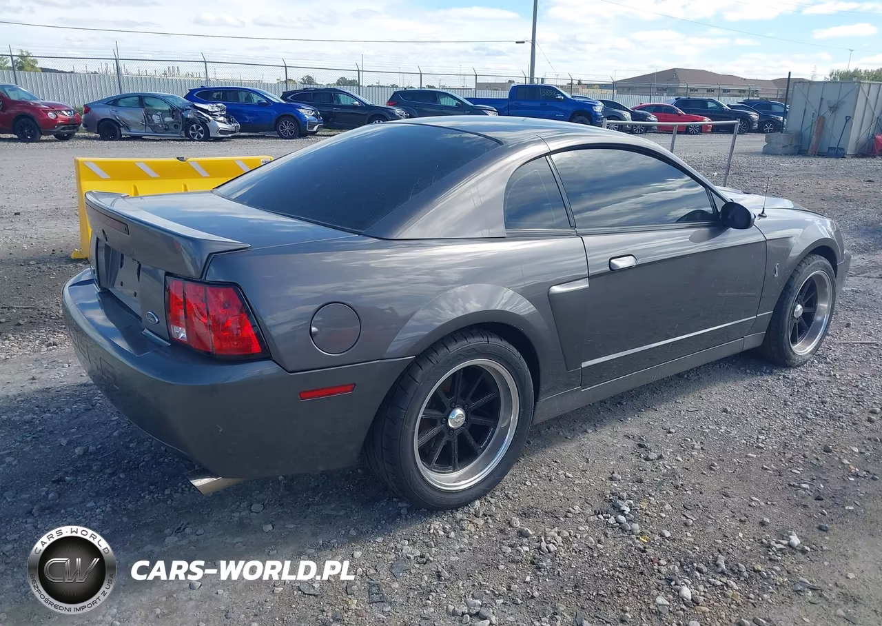 2003 Ford Mustang 10Th Anniversary Package-Cobra VIN:1FAFP48Y53F387899 - 4