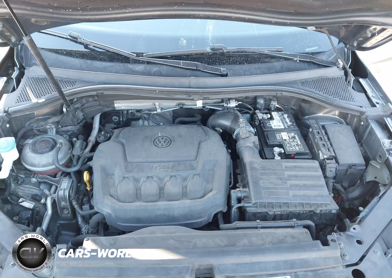 2019 Volkswagen Tiguan 2.0T S VIN:3VV1B7AX4KM103300 - 10