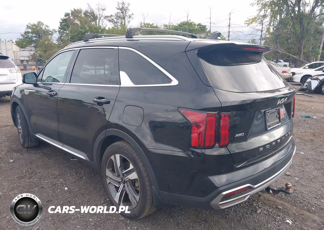 2022 Kia Sorento Plug-In Hybrid Sx VIN:KNDRJDLH9N5082253 - 6