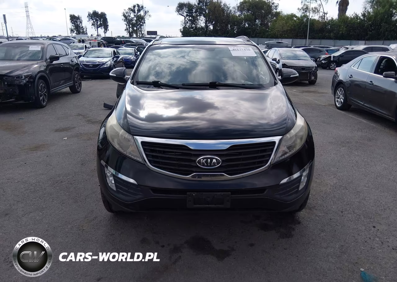 2012 Kia Sportage Ex VIN:KNDPC3A29C7172952 - 13