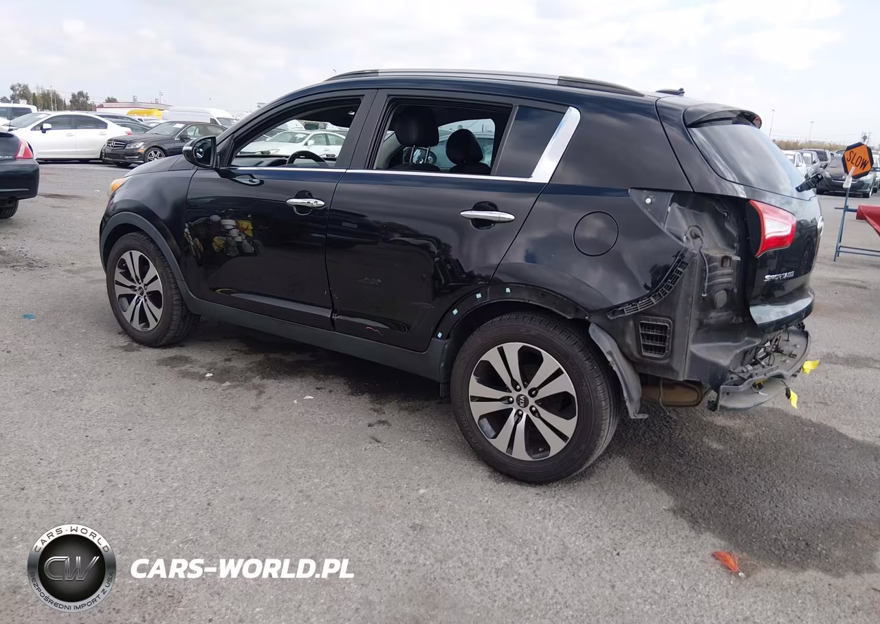 2012 Kia Sportage Ex VIN:KNDPC3A29C7172952 - 3