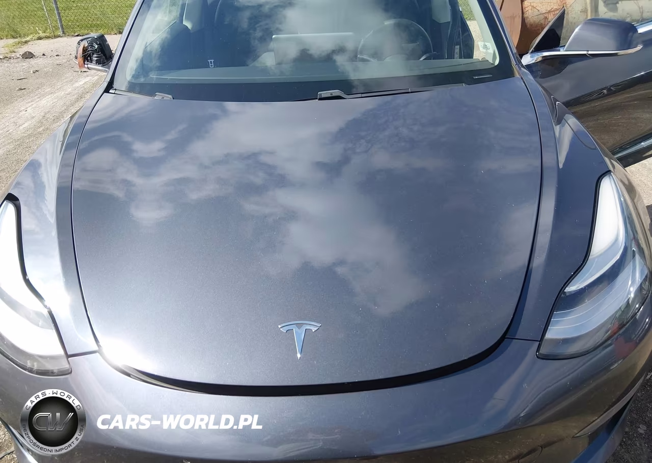 2020 Tesla Model 3 Long Range Dual Motor All-Wheel Drive VIN:5YJ3E1EB9LF666424 - 10