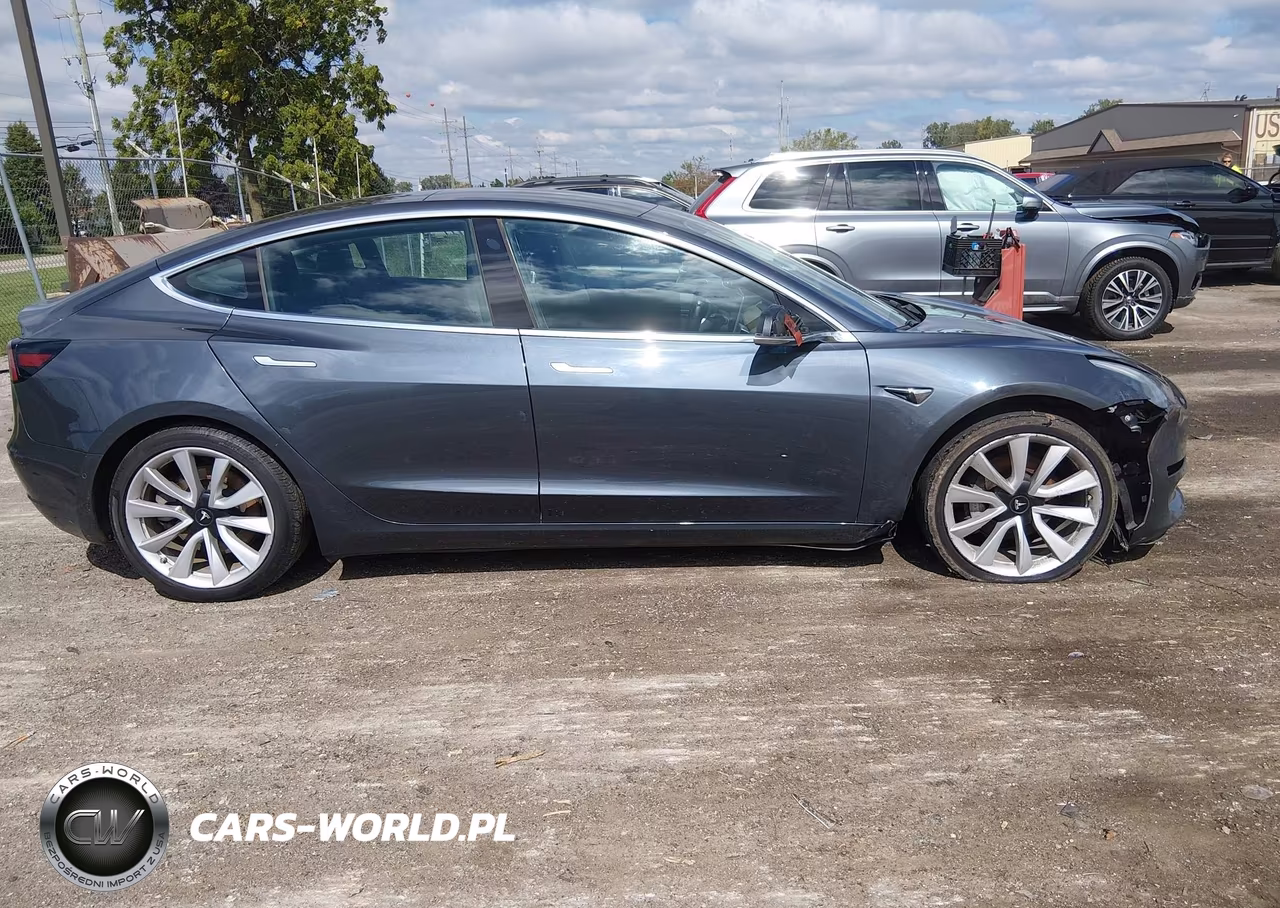 2020 Tesla Model 3 Long Range Dual Motor All-Wheel Drive VIN:5YJ3E1EB9LF666424 - 13