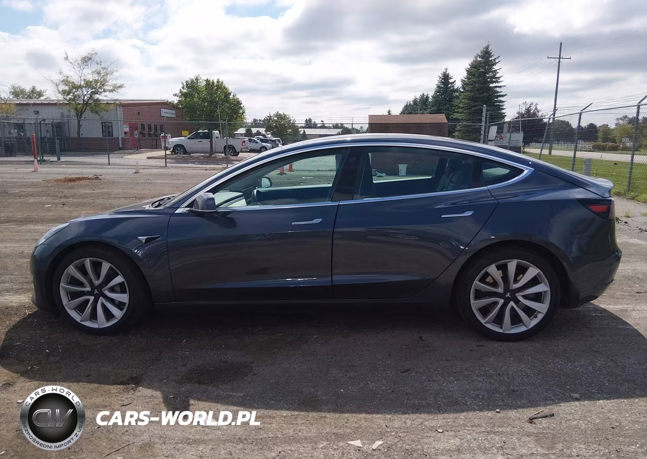 2020 Tesla Model 3 Long Range Dual Motor All-Wheel Drive VIN:5YJ3E1EB9LF666424 - 14