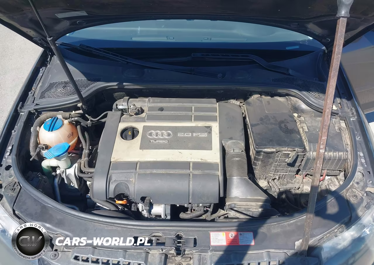 2006 Audi A3 2.0T VIN:WAUMF78P66A068006 - 10