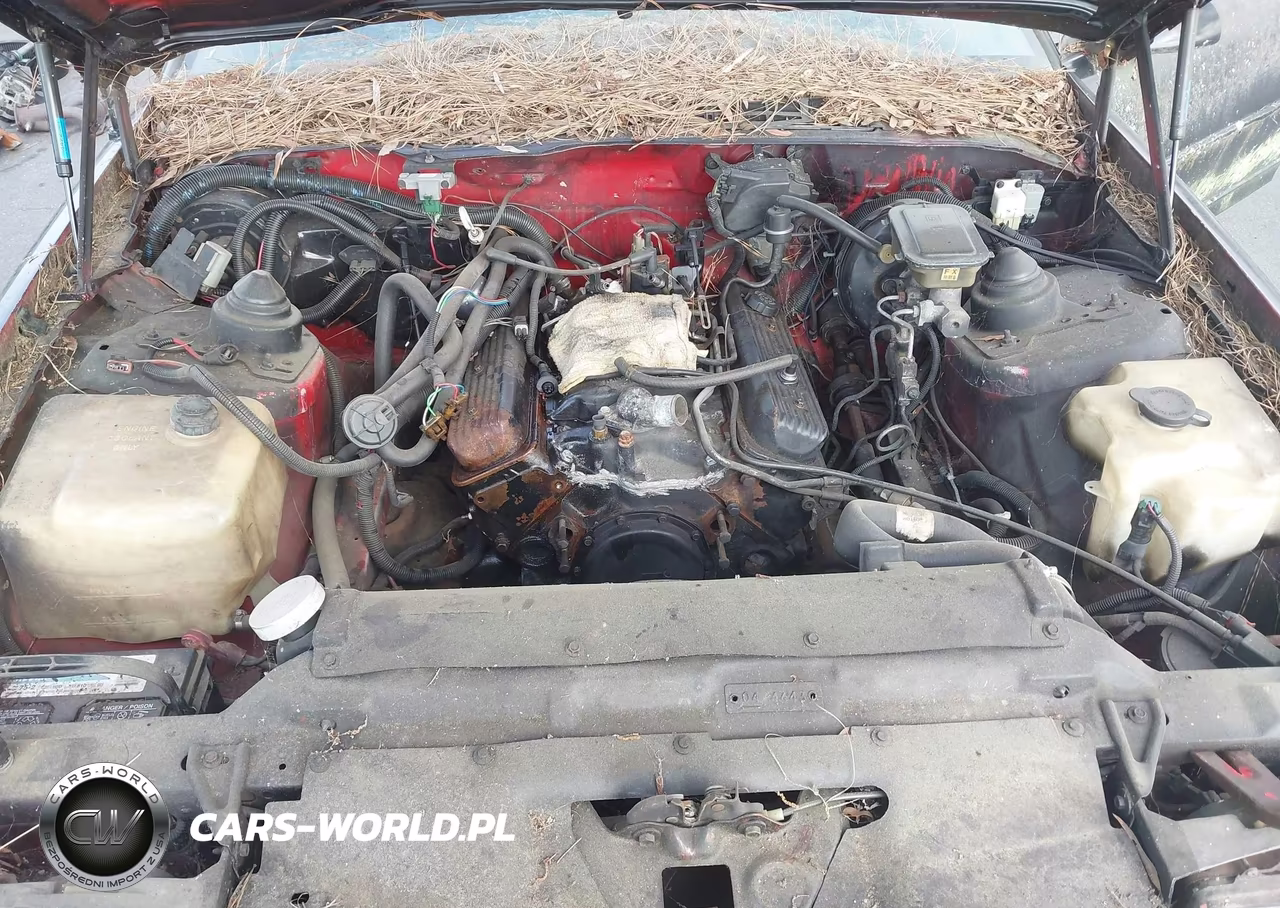1989 Chevrolet Camaro VIN:1G1FP21E3KL127248 - 10