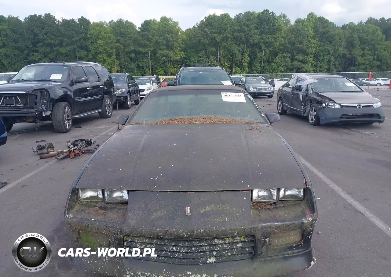 1989 Chevrolet Camaro VIN:1G1FP21E3KL127248 - 13