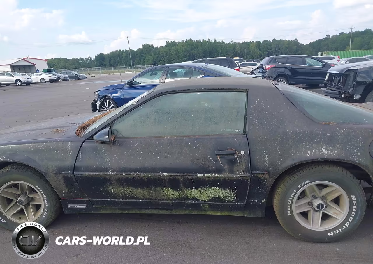 1989 Chevrolet Camaro VIN:1G1FP21E3KL127248 - 15