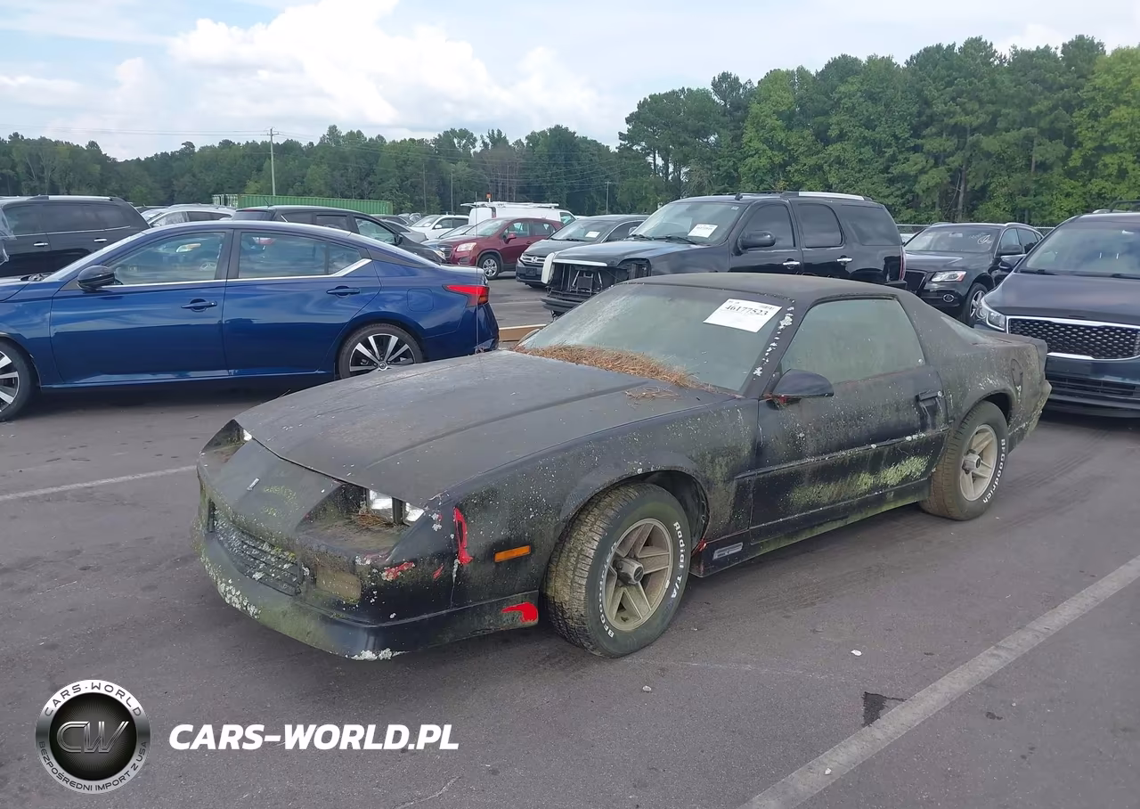 1989 Chevrolet Camaro VIN:1G1FP21E3KL127248 - 2