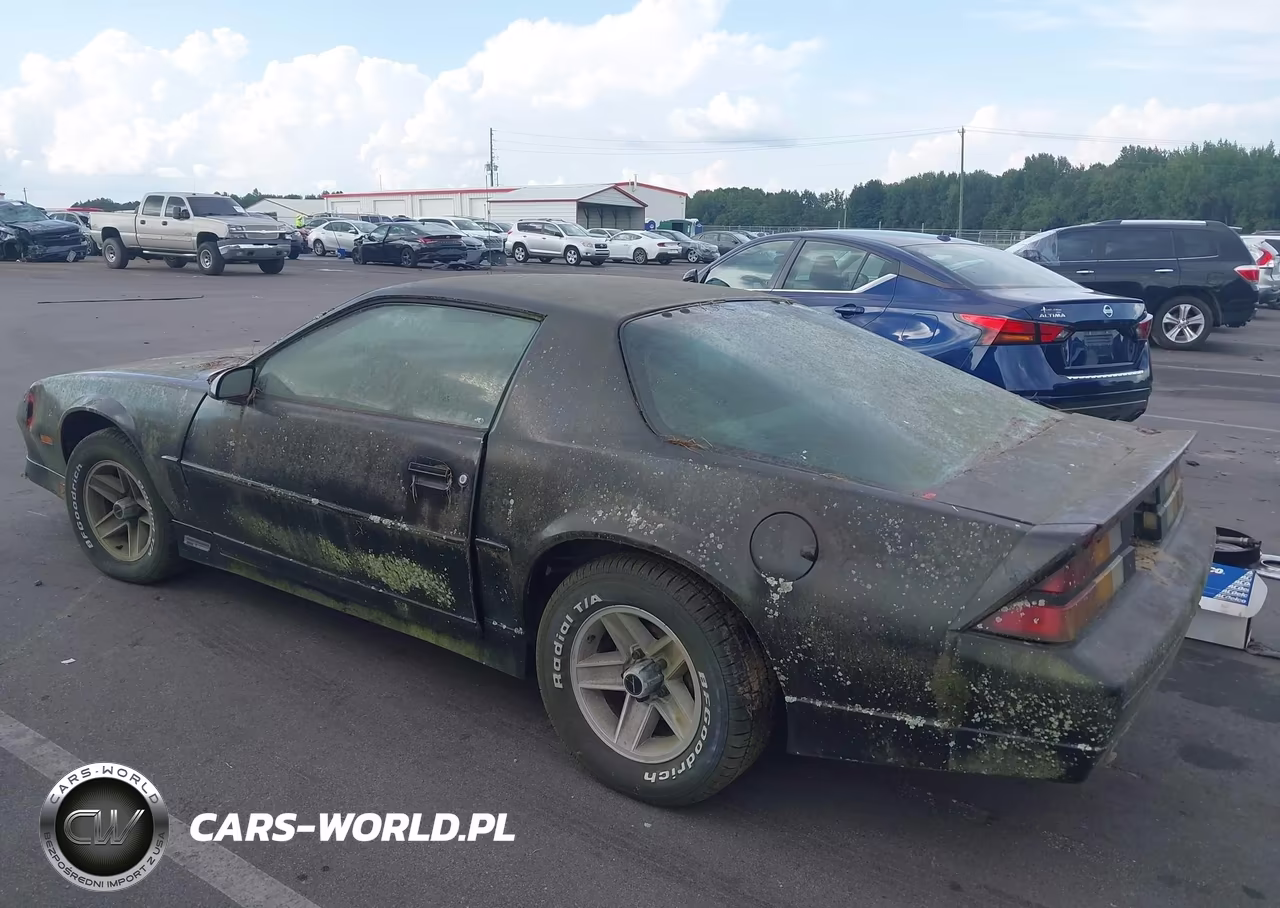 1989 Chevrolet Camaro VIN:1G1FP21E3KL127248 - 3