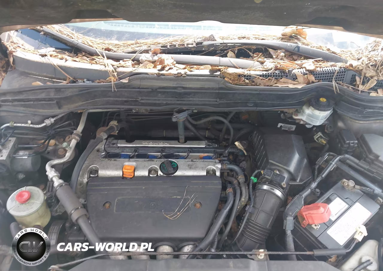 2009 Honda Cr-V Ex-L VIN:5J6RE487X9L038472 - 10