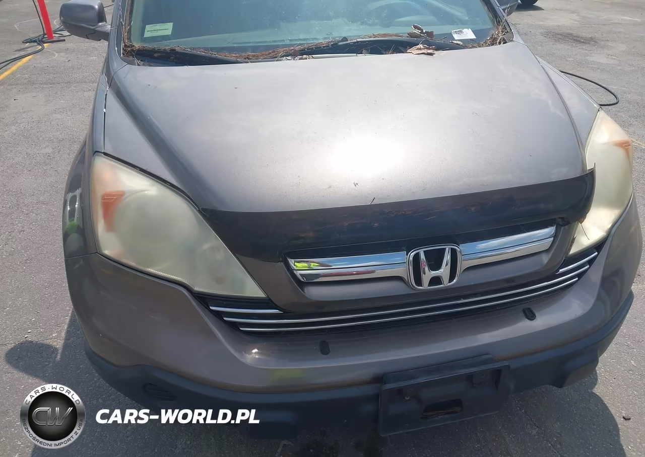 2009 Honda Cr-V Ex-L VIN:5J6RE487X9L038472 - 6