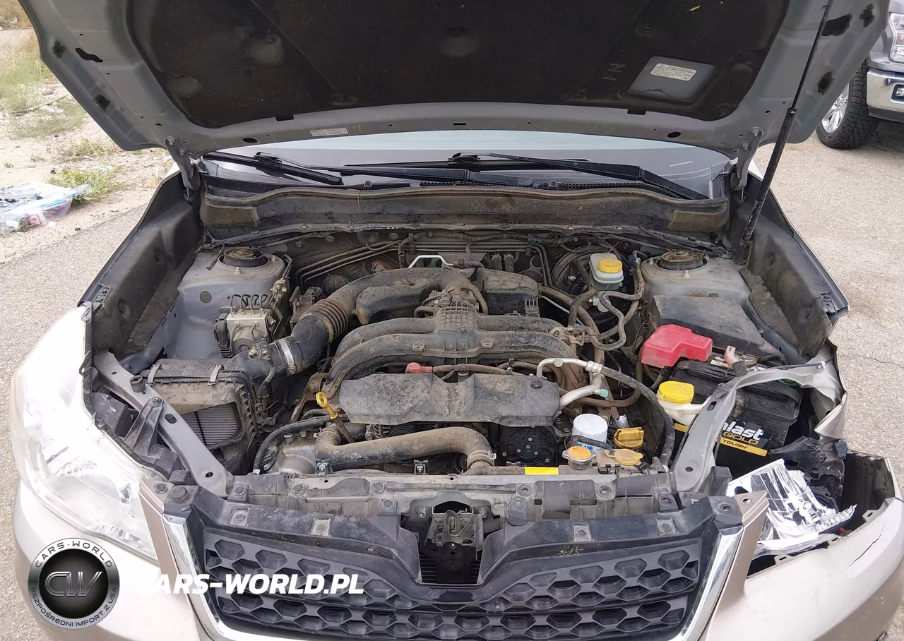 2014 Subaru Forester 2.5I VIN:JF2SJAAC7EH487616 - 10