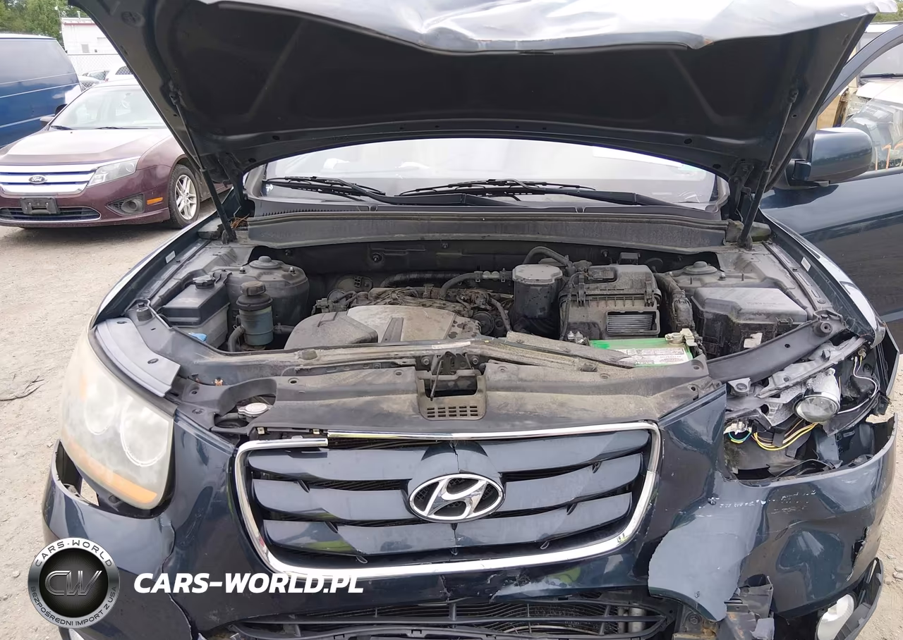 2010 Hyundai Santa Fe Limited V6 VIN:5NMSK4AGXAH352154 - 10