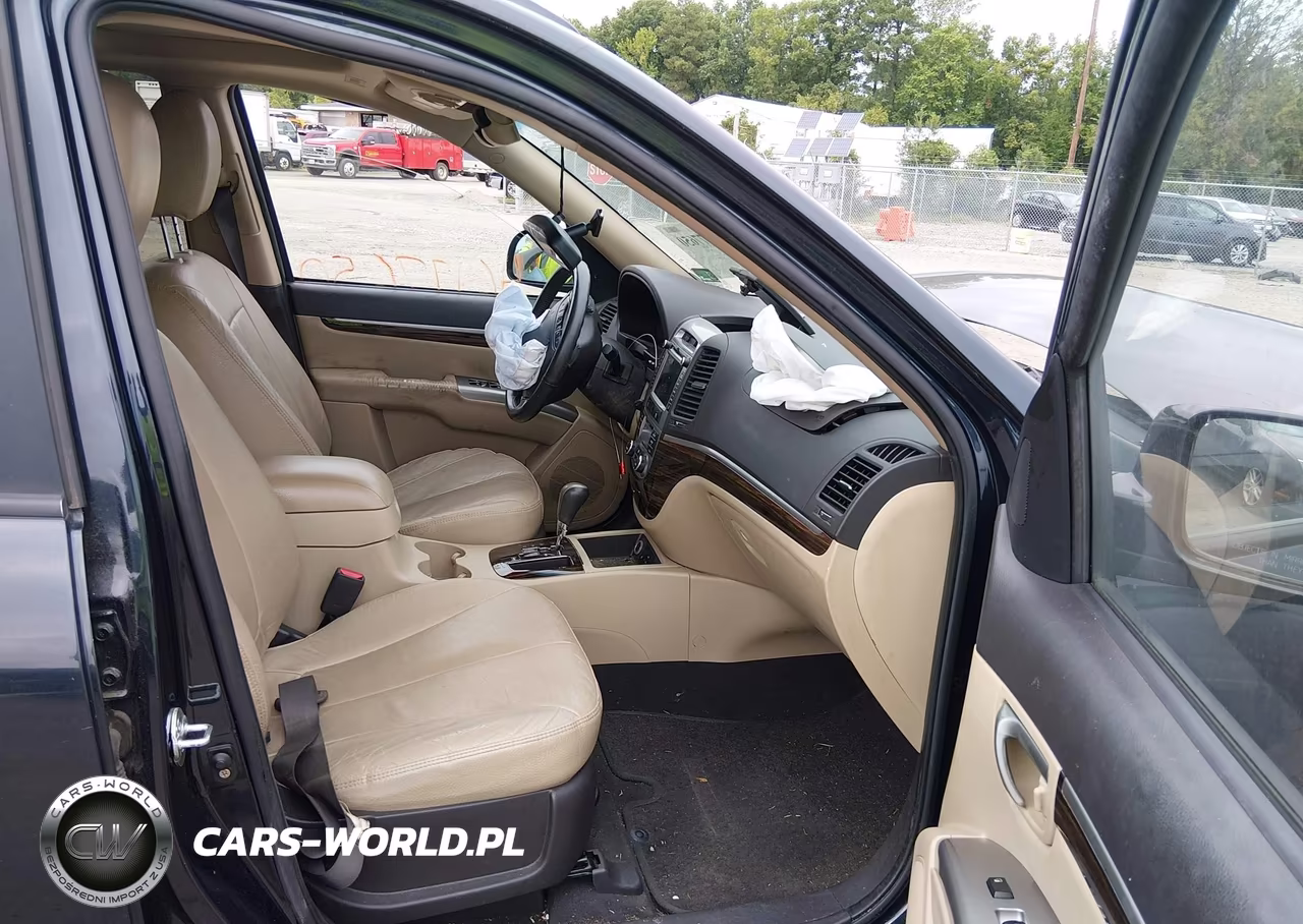 2010 Hyundai Santa Fe Limited V6 VIN:5NMSK4AGXAH352154 - 5