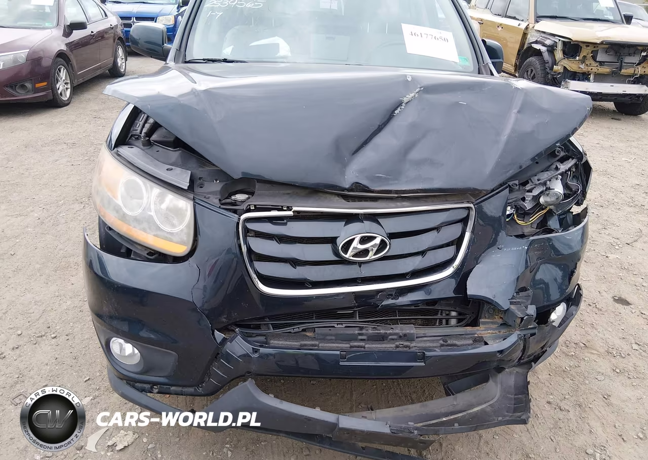 2010 Hyundai Santa Fe Limited V6 VIN:5NMSK4AGXAH352154 - 6