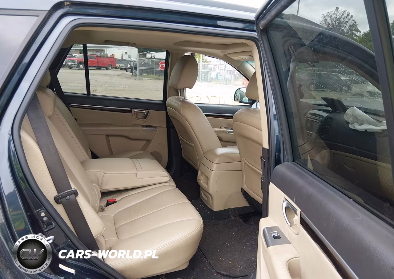 2010 Hyundai Santa Fe Limited V6 VIN:5NMSK4AGXAH352154 - 8
