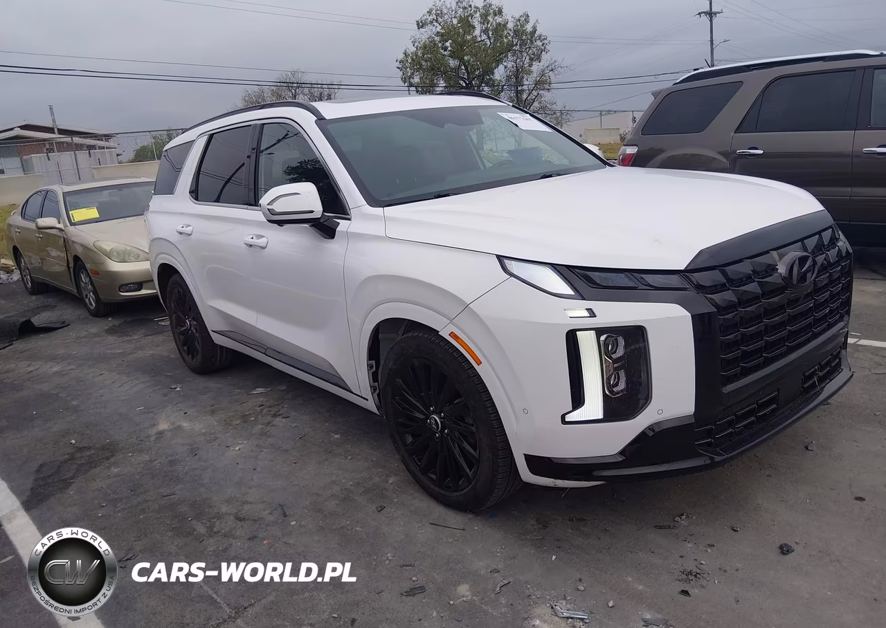 2024 Hyundai Palisade Calligraphy Night Edition