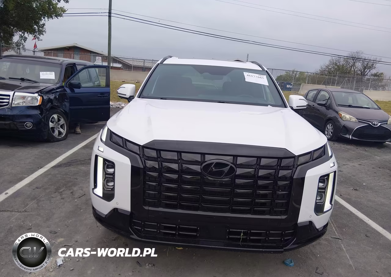 2024 Hyundai Palisade Calligraphy Night Edition VIN:KM8R7DGE8RU688357 - 11