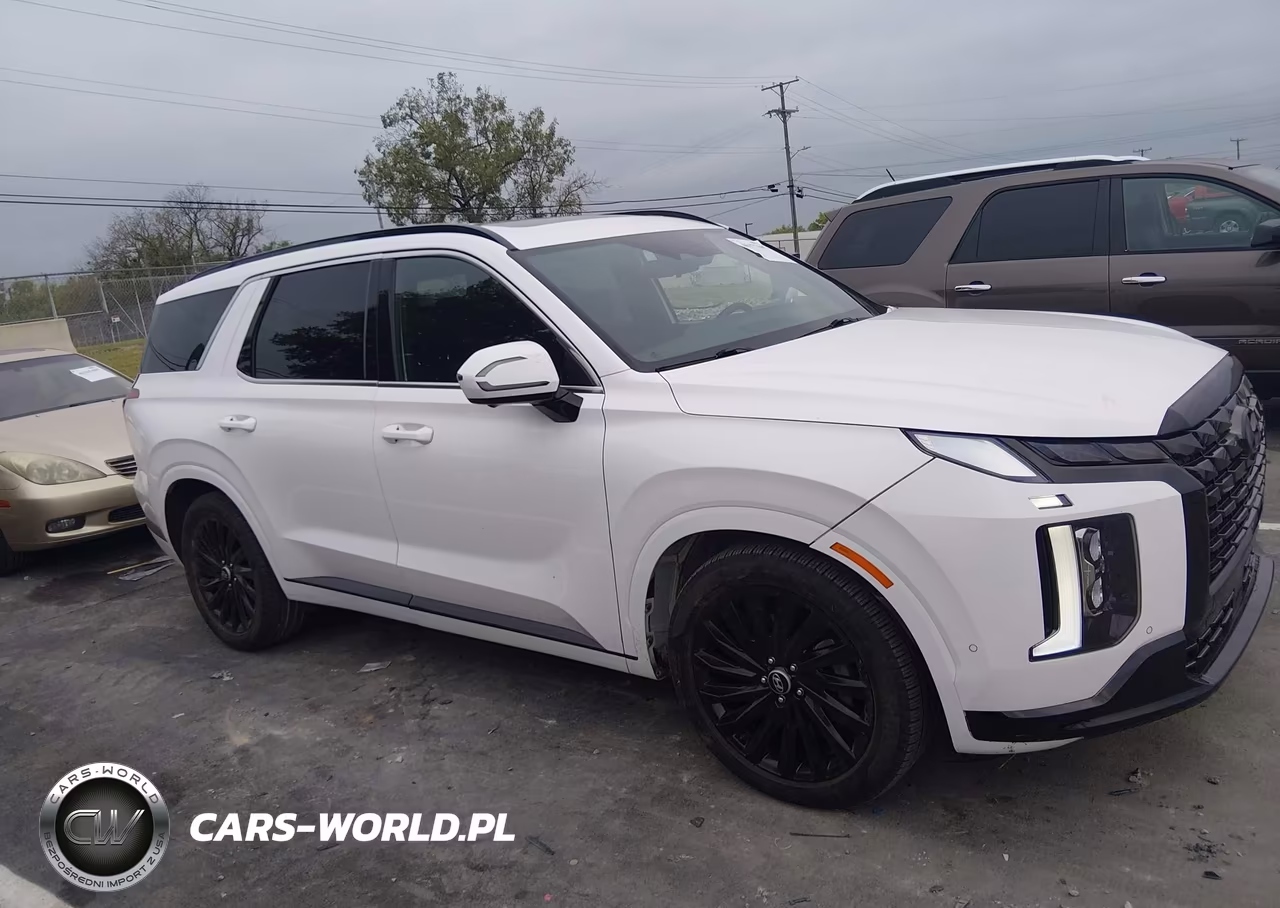 2024 Hyundai Palisade Calligraphy Night Edition VIN:KM8R7DGE8RU688357 - 12