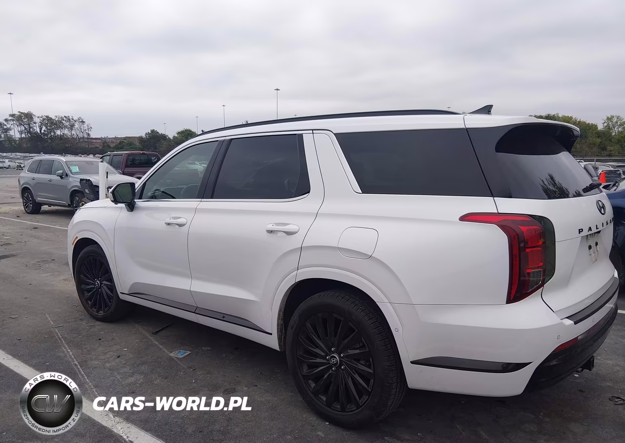 2024 Hyundai Palisade Calligraphy Night Edition VIN:KM8R7DGE8RU688357 - 13