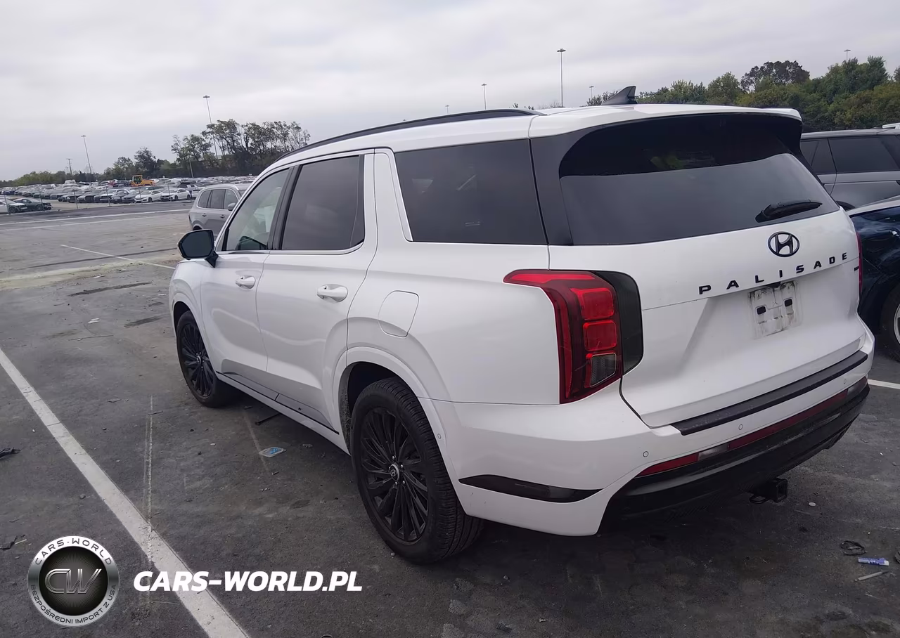 2024 Hyundai Palisade Calligraphy Night Edition VIN:KM8R7DGE8RU688357 - 3
