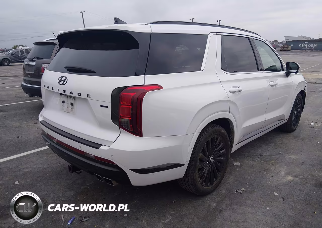 2024 Hyundai Palisade Calligraphy Night Edition VIN:KM8R7DGE8RU688357 - 4