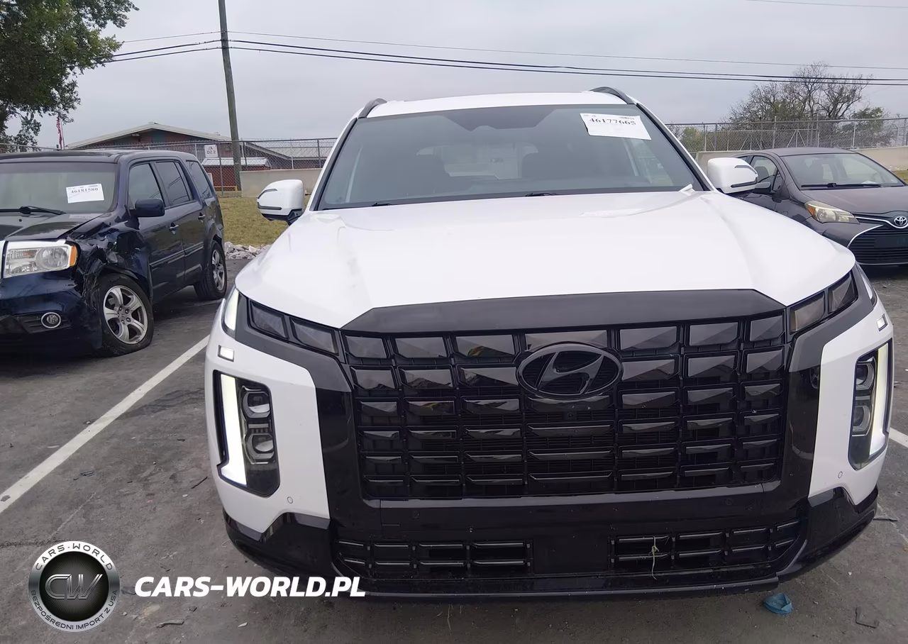 2024 Hyundai Palisade Calligraphy Night Edition VIN:KM8R7DGE8RU688357 - 6