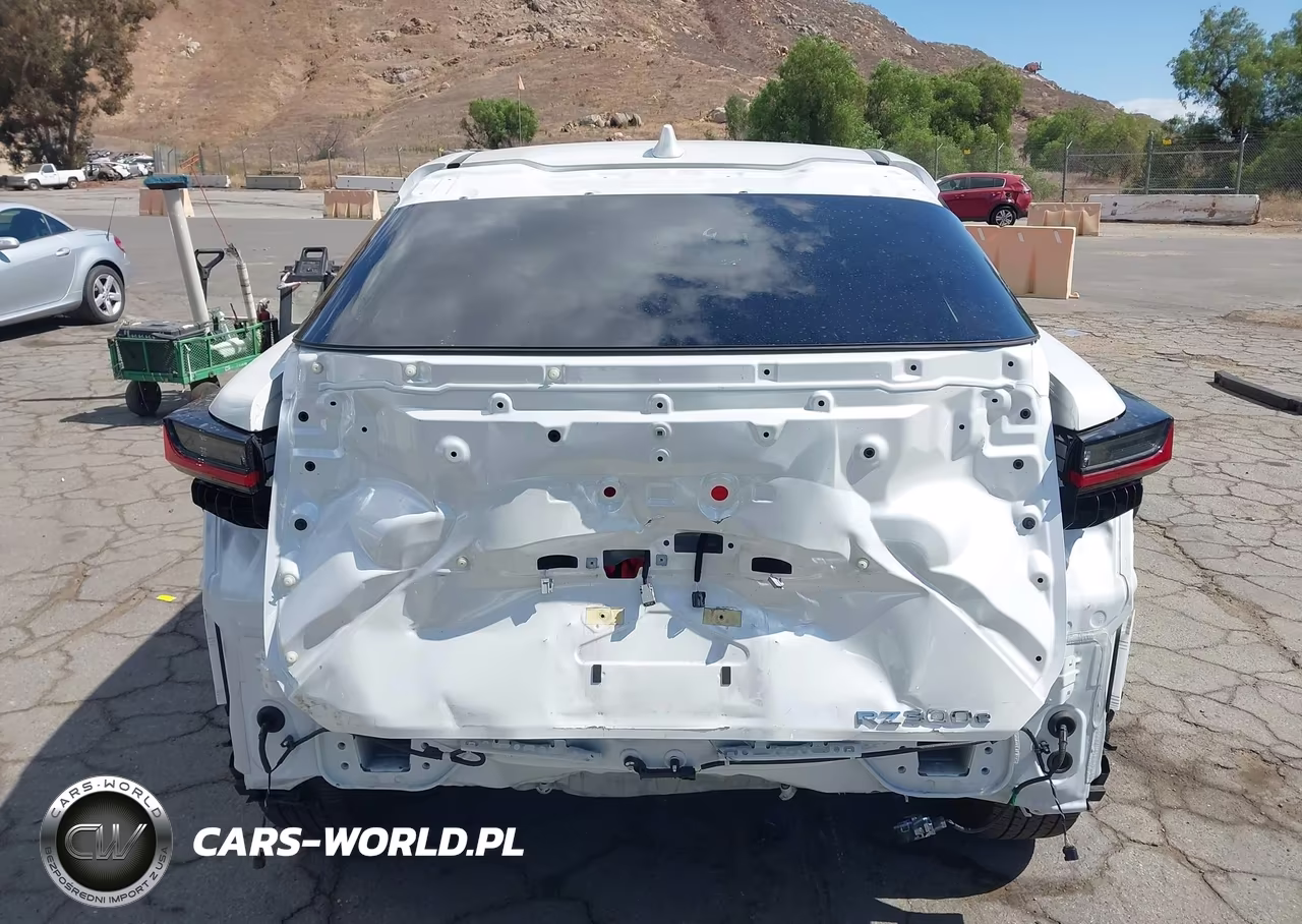 2025 Lexus Rz 300E VIN:JTJABABB0SA010962 - 16