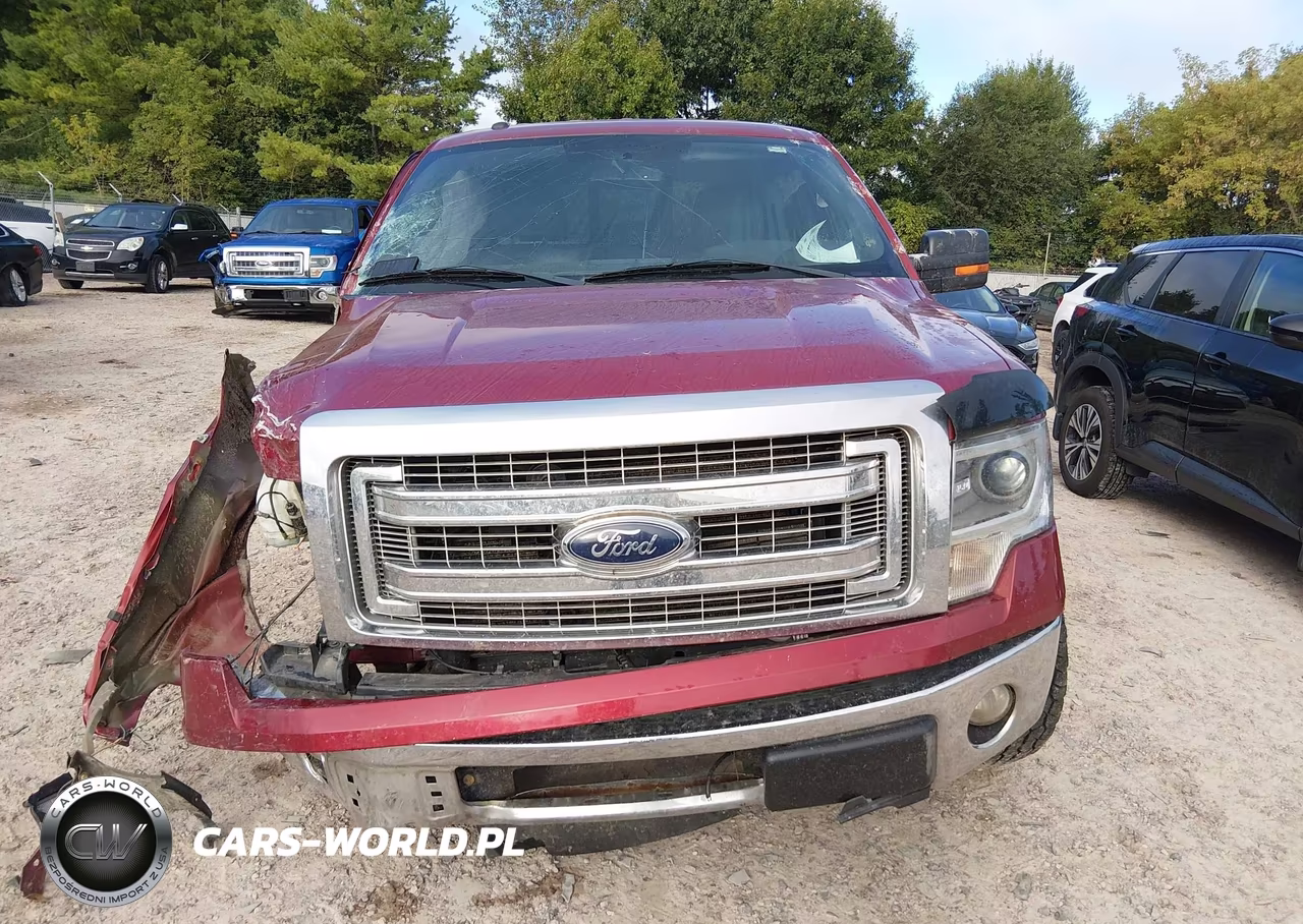 2014 Ford F-150 Xlt VIN:1FTFW1EF6EFB69665 - 13
