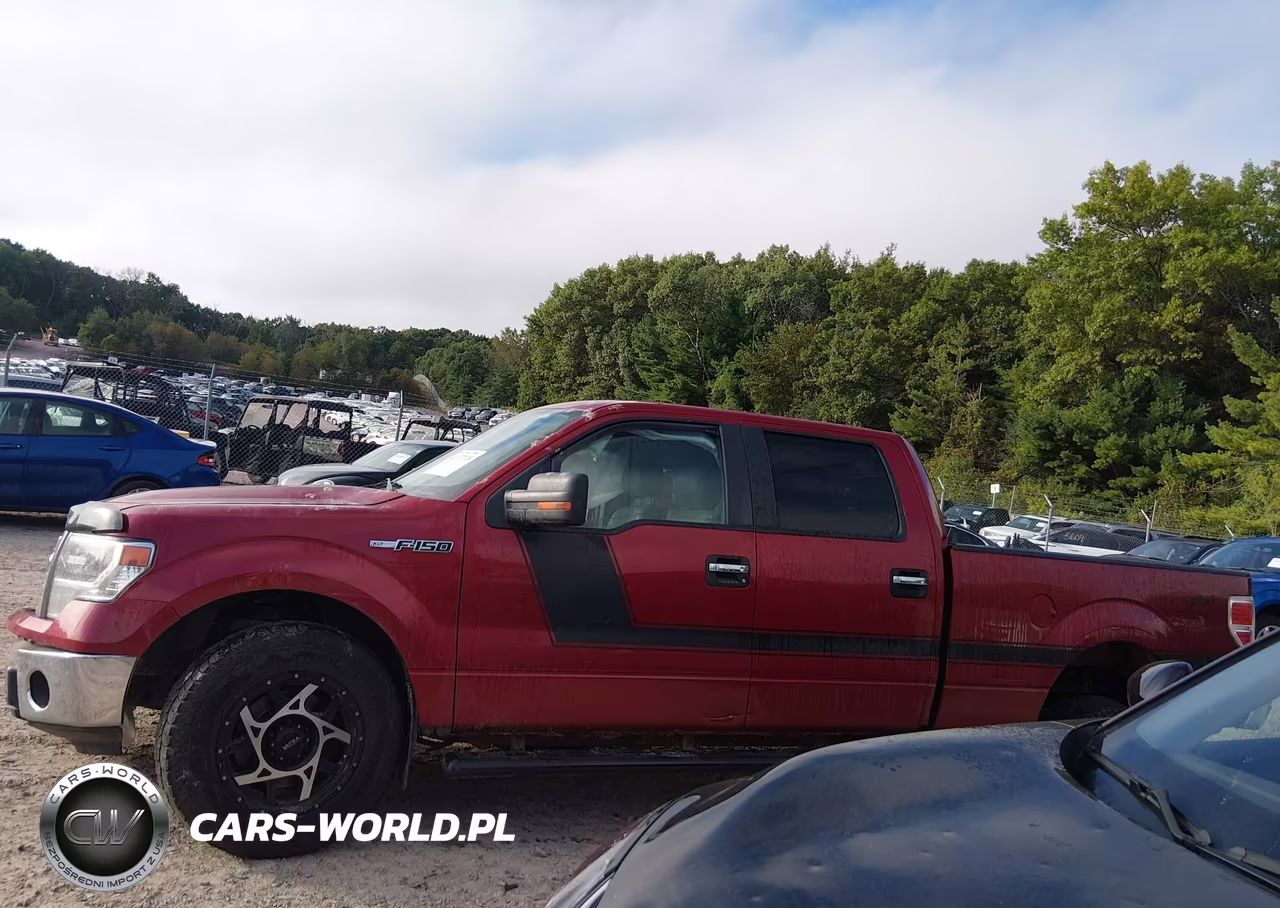 2014 Ford F-150 Xlt VIN:1FTFW1EF6EFB69665 - 15