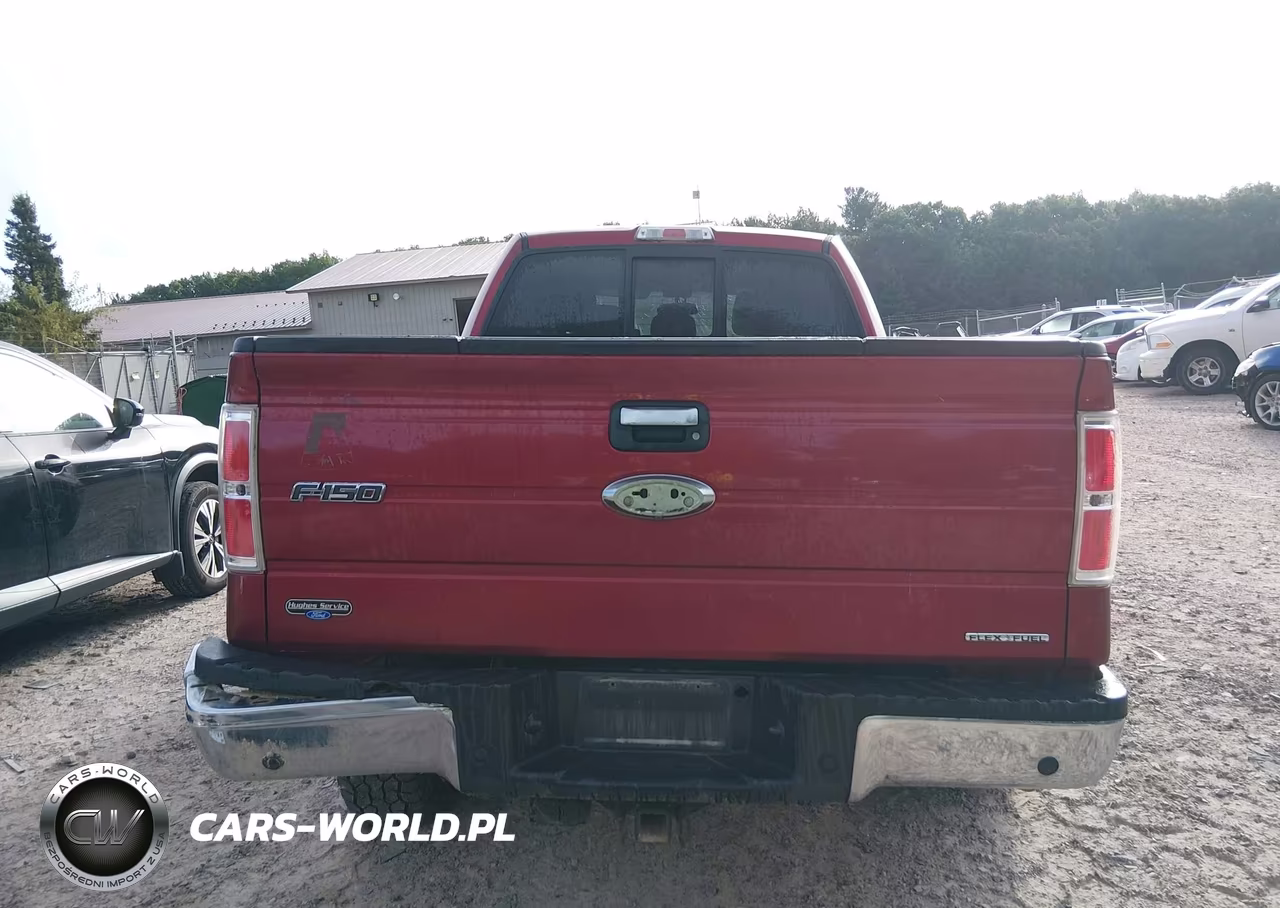 2014 Ford F-150 Xlt VIN:1FTFW1EF6EFB69665 - 17