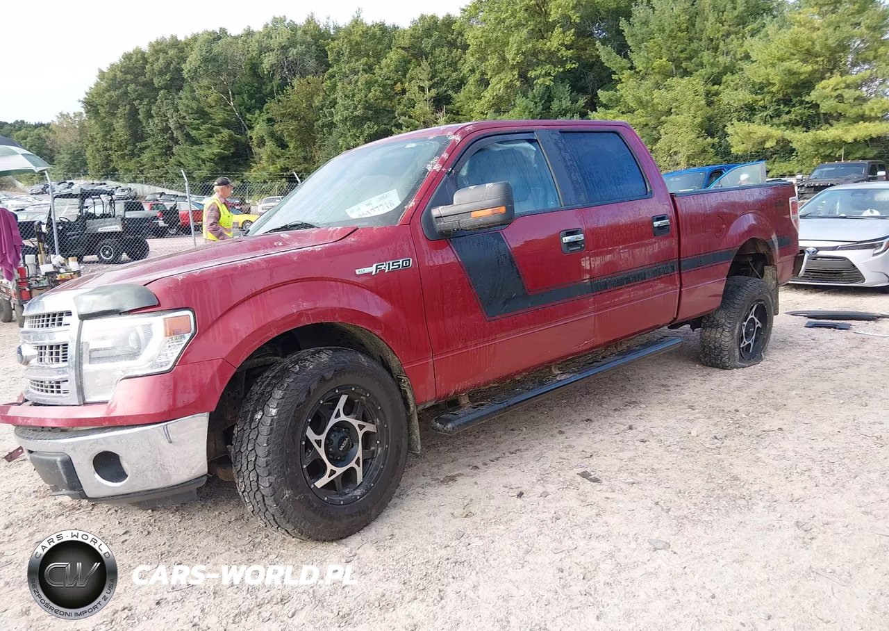 2014 Ford F-150 Xlt VIN:1FTFW1EF6EFB69665 - 2