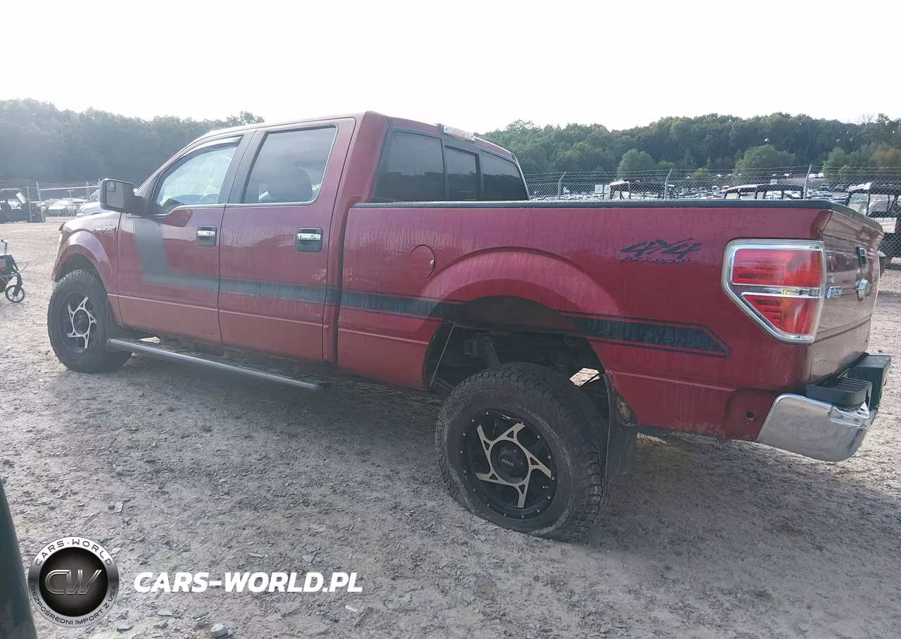 2014 Ford F-150 Xlt VIN:1FTFW1EF6EFB69665 - 3