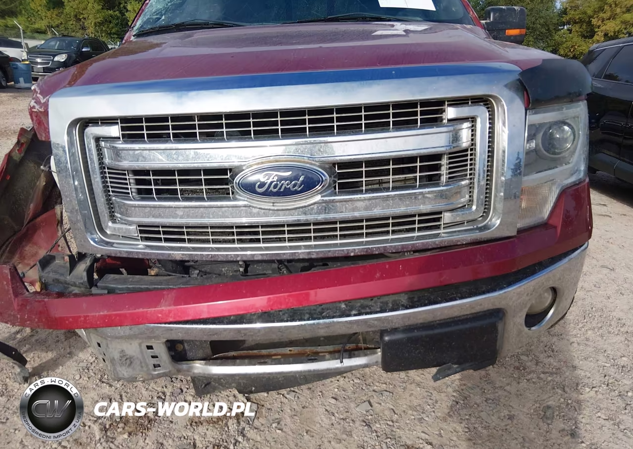 2014 Ford F-150 Xlt VIN:1FTFW1EF6EFB69665 - 6