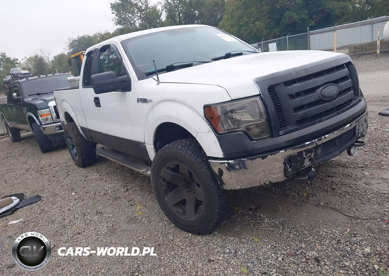 2010 Ford F-150 Stx-Xl-Xlt VIN:1FTEX1E89AFD03086 - 1