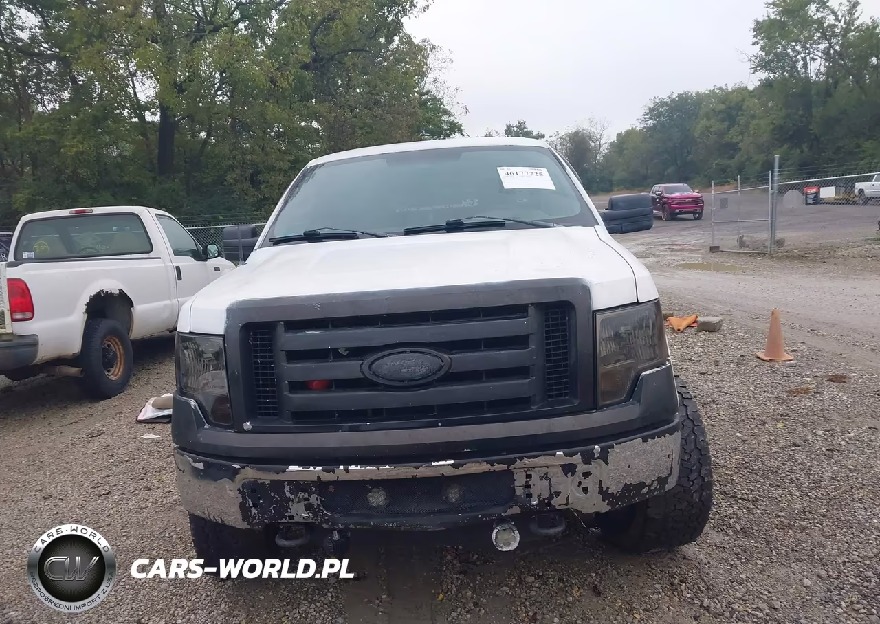 2010 Ford F-150 Stx-Xl-Xlt VIN:1FTEX1E89AFD03086 - 12