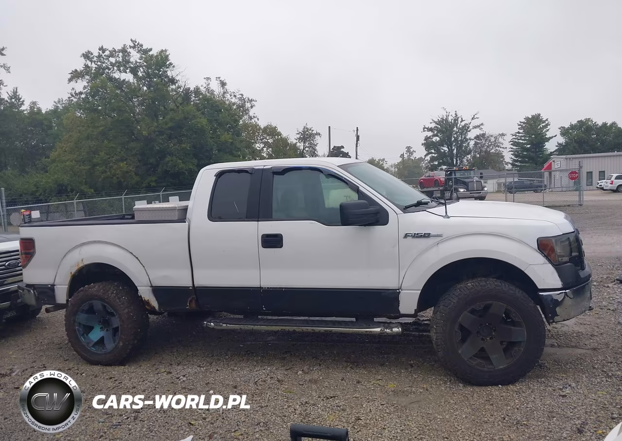 2010 Ford F-150 Stx-Xl-Xlt VIN:1FTEX1E89AFD03086 - 13