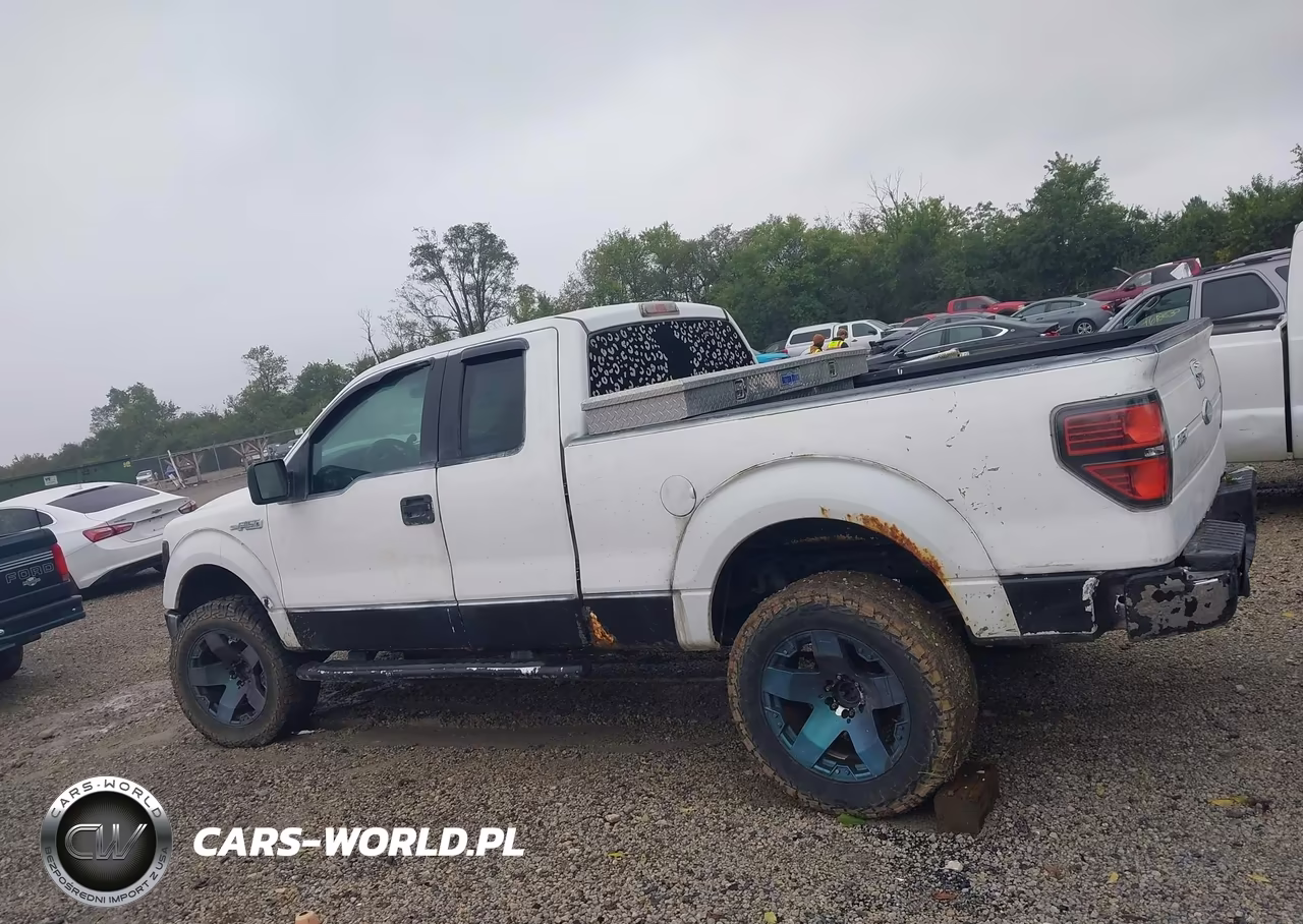 2010 Ford F-150 Stx-Xl-Xlt VIN:1FTEX1E89AFD03086 - 14