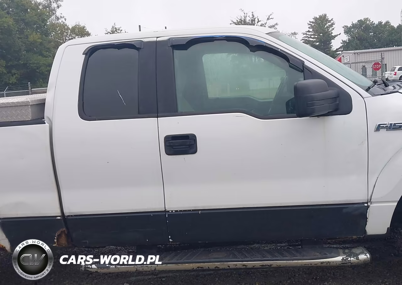 2010 Ford F-150 Stx-Xl-Xlt VIN:1FTEX1E89AFD03086 - 17