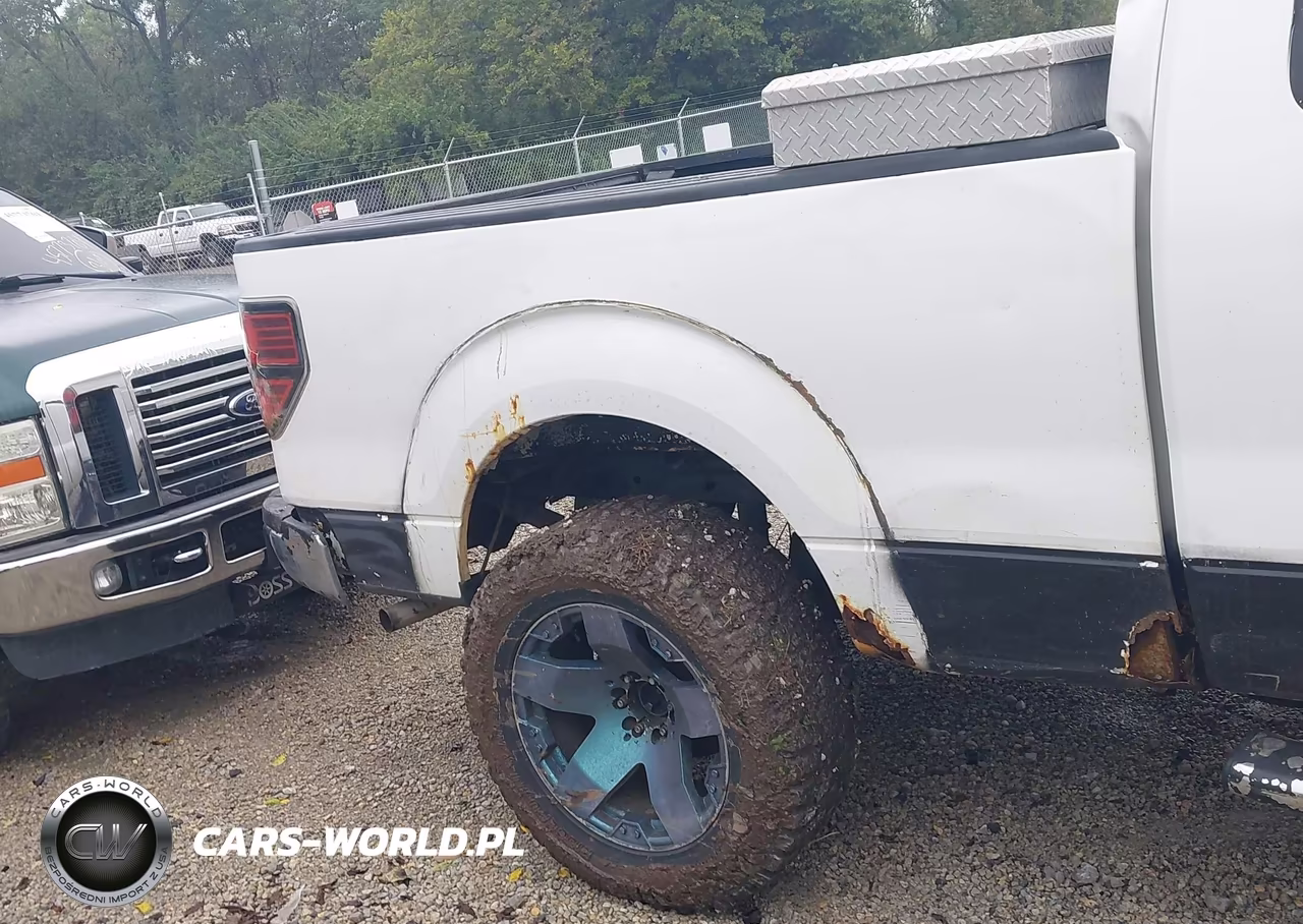 2010 Ford F-150 Stx-Xl-Xlt VIN:1FTEX1E89AFD03086 - 18