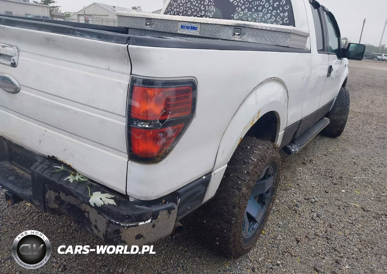 2010 Ford F-150 Stx-Xl-Xlt VIN:1FTEX1E89AFD03086 - 19