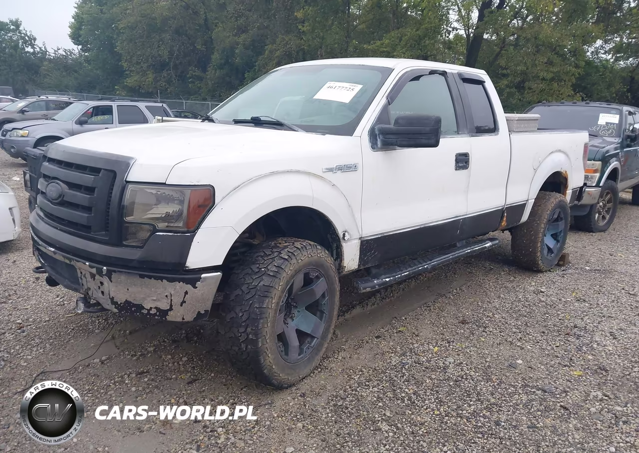 2010 Ford F-150 Stx-Xl-Xlt VIN:1FTEX1E89AFD03086 - 2
