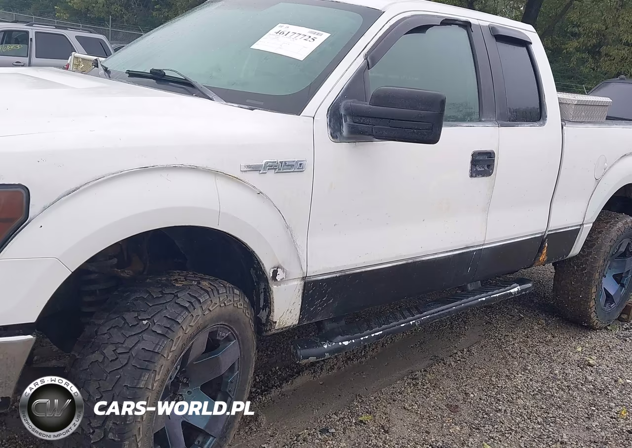 2010 Ford F-150 Stx-Xl-Xlt VIN:1FTEX1E89AFD03086 - 21