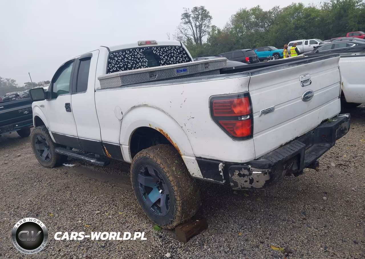 2010 Ford F-150 Stx-Xl-Xlt VIN:1FTEX1E89AFD03086 - 3